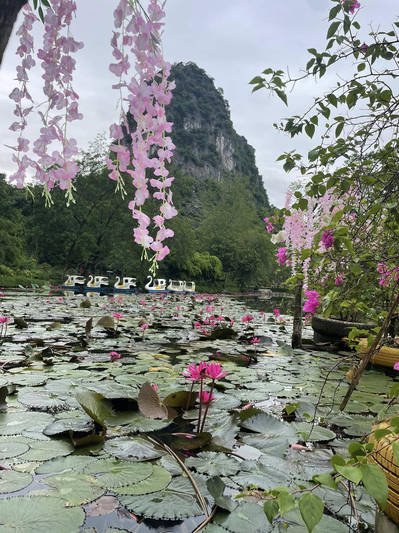 Kim Son Landscape Area