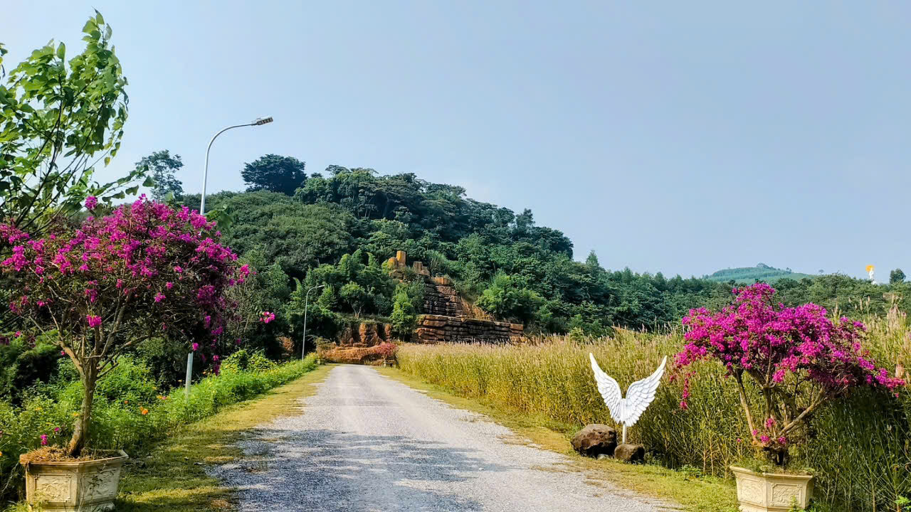 Flower Valley Phu Quy