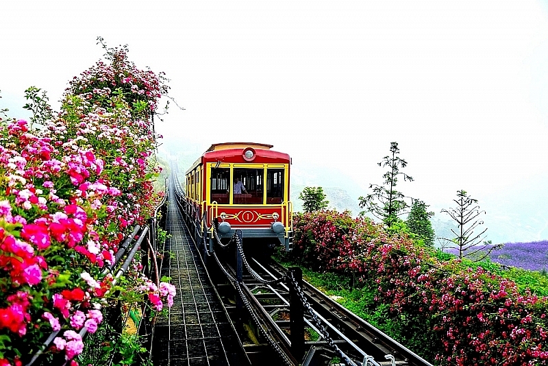 Thung lũng hoa hồng Sa Pa thuộc địa phận xóm 1, đường Mường Hoa, thị xã Sa Pa, tỉnh Lào Cai, cách trung tâm thị xã khoảng 3km về hướng Tây Nam.