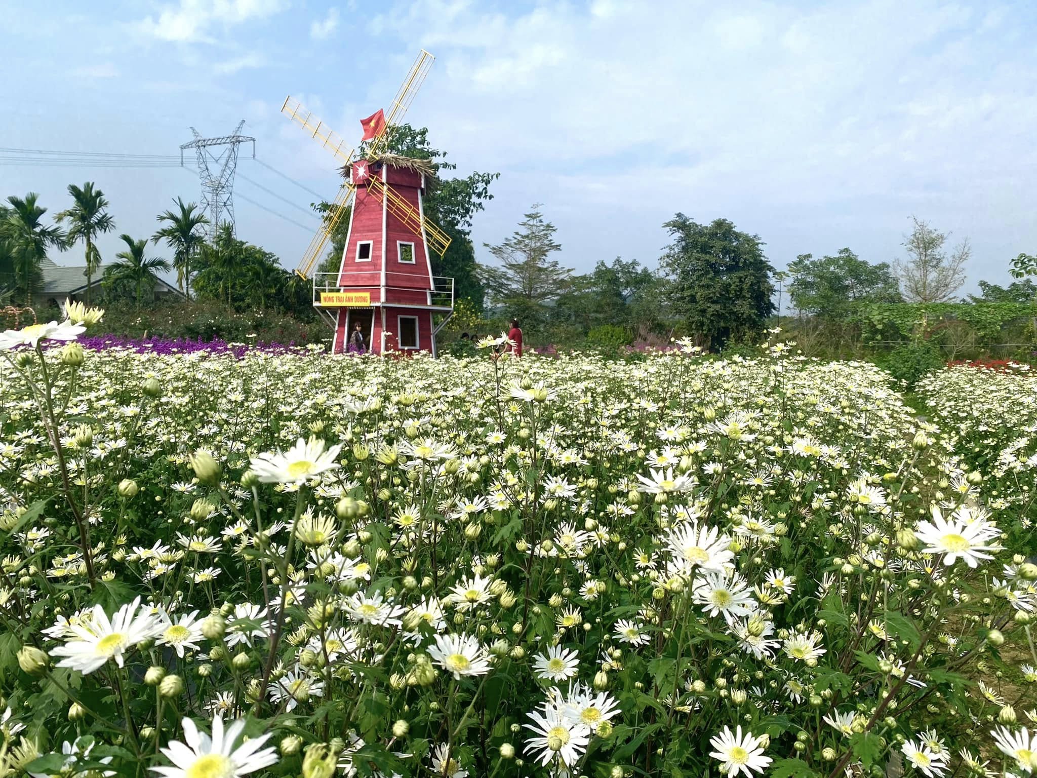 Nông trại Ánh Dương