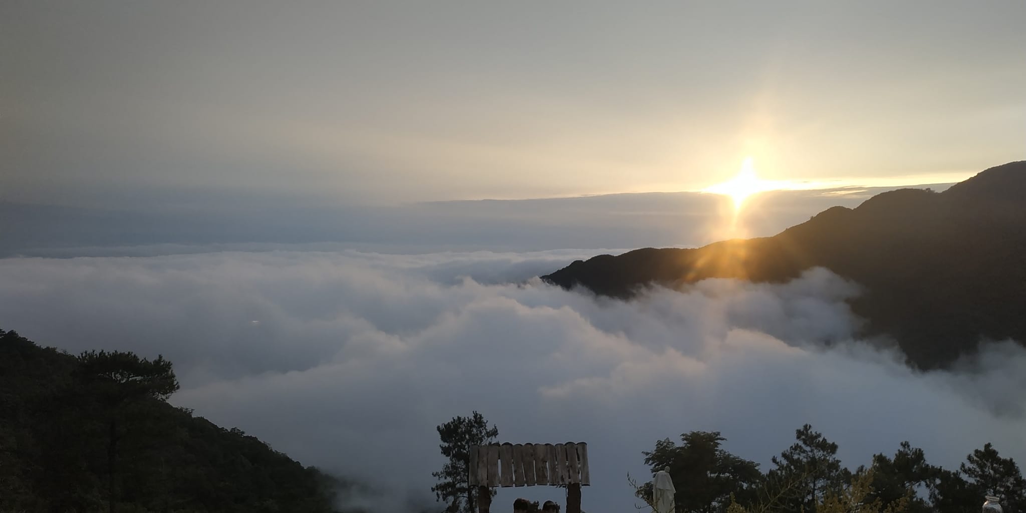 Lala Land Tam Đảo