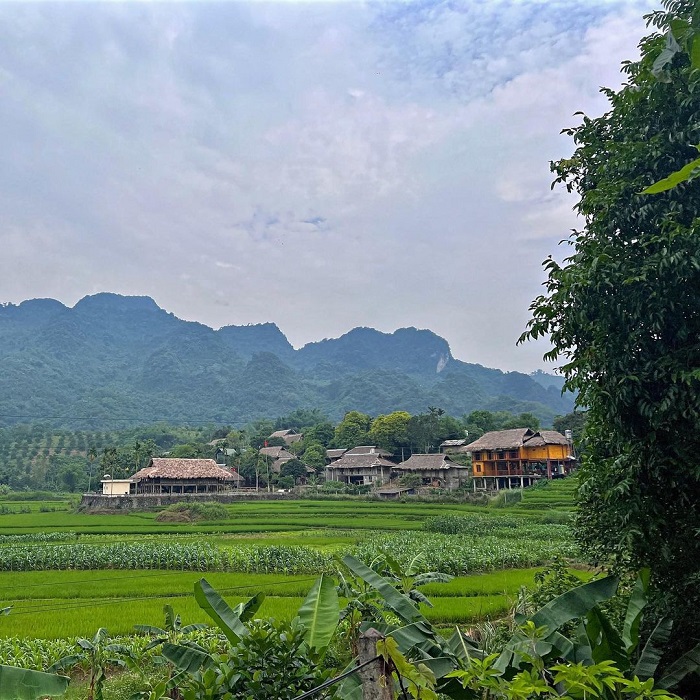 Bản Giang Mỗ