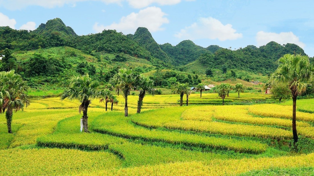 Bản Tèn