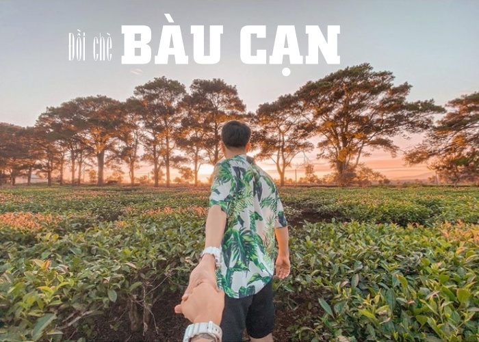 Đồi Chè Bàu Cạn