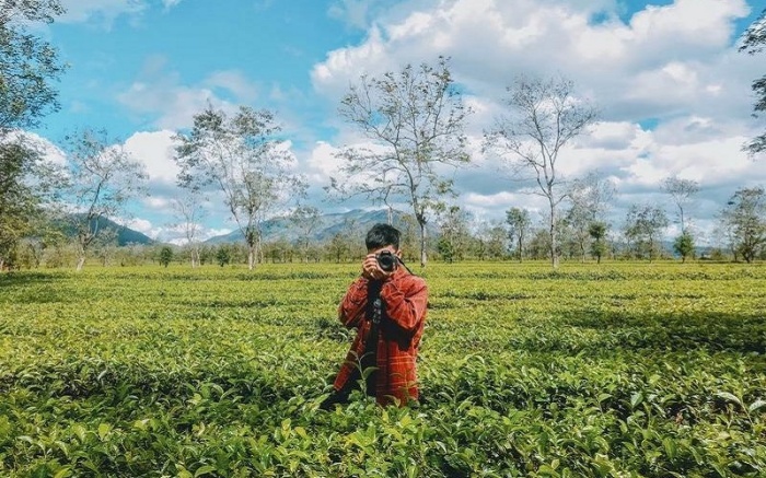 Bau可以茶山