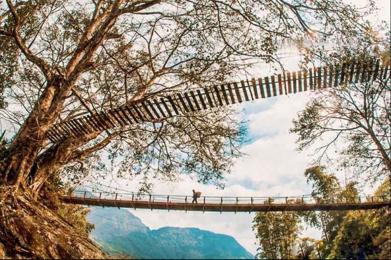 May Van Cloud Bridge