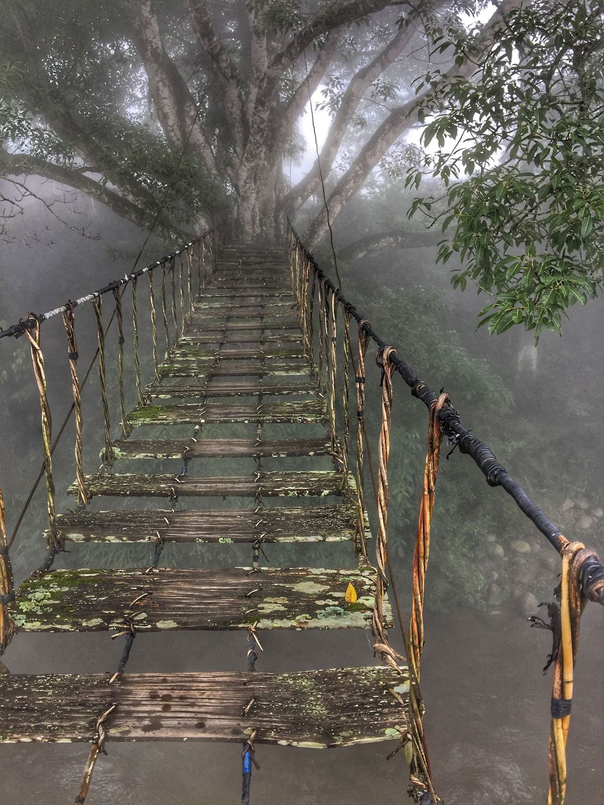 May Van Cloud Bridge