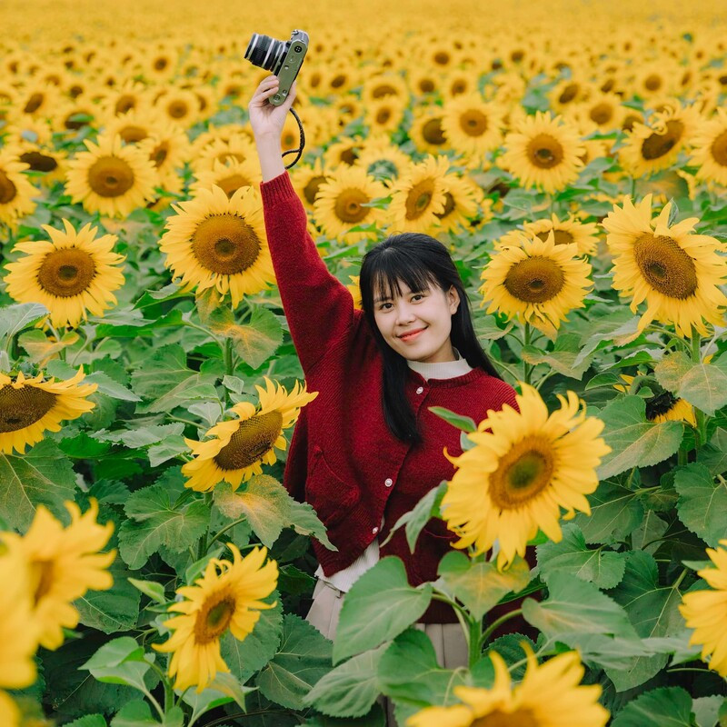 Flower fields of Duong Nghia Dan