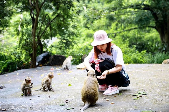 Đảo Khỉ Cát Bà với vẻ đẹp nguyên sơ, hùng vĩ đón hàng triệu lượt du khách ghé thăm hằng năm.