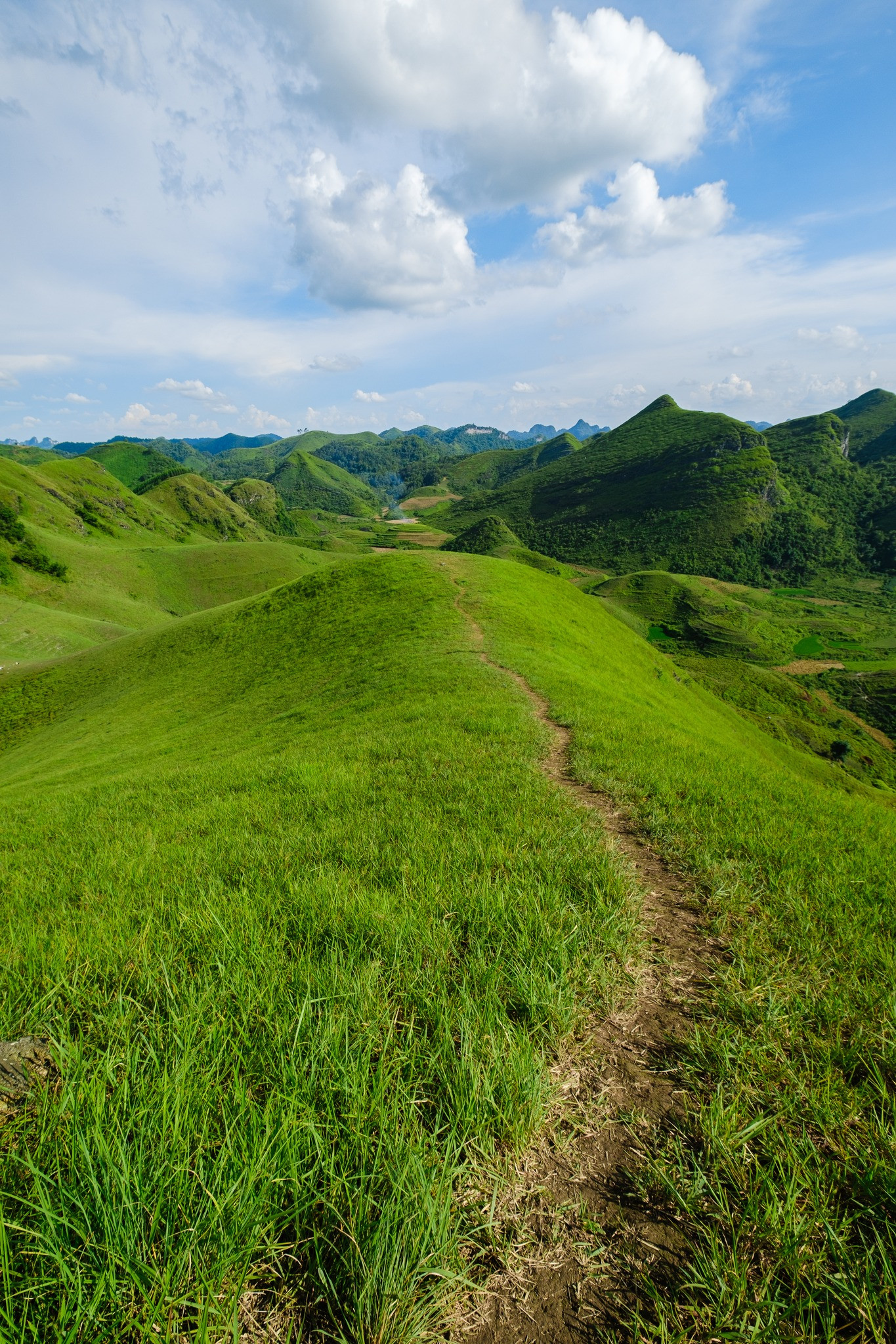 Đồi cỏ Ba Quáng