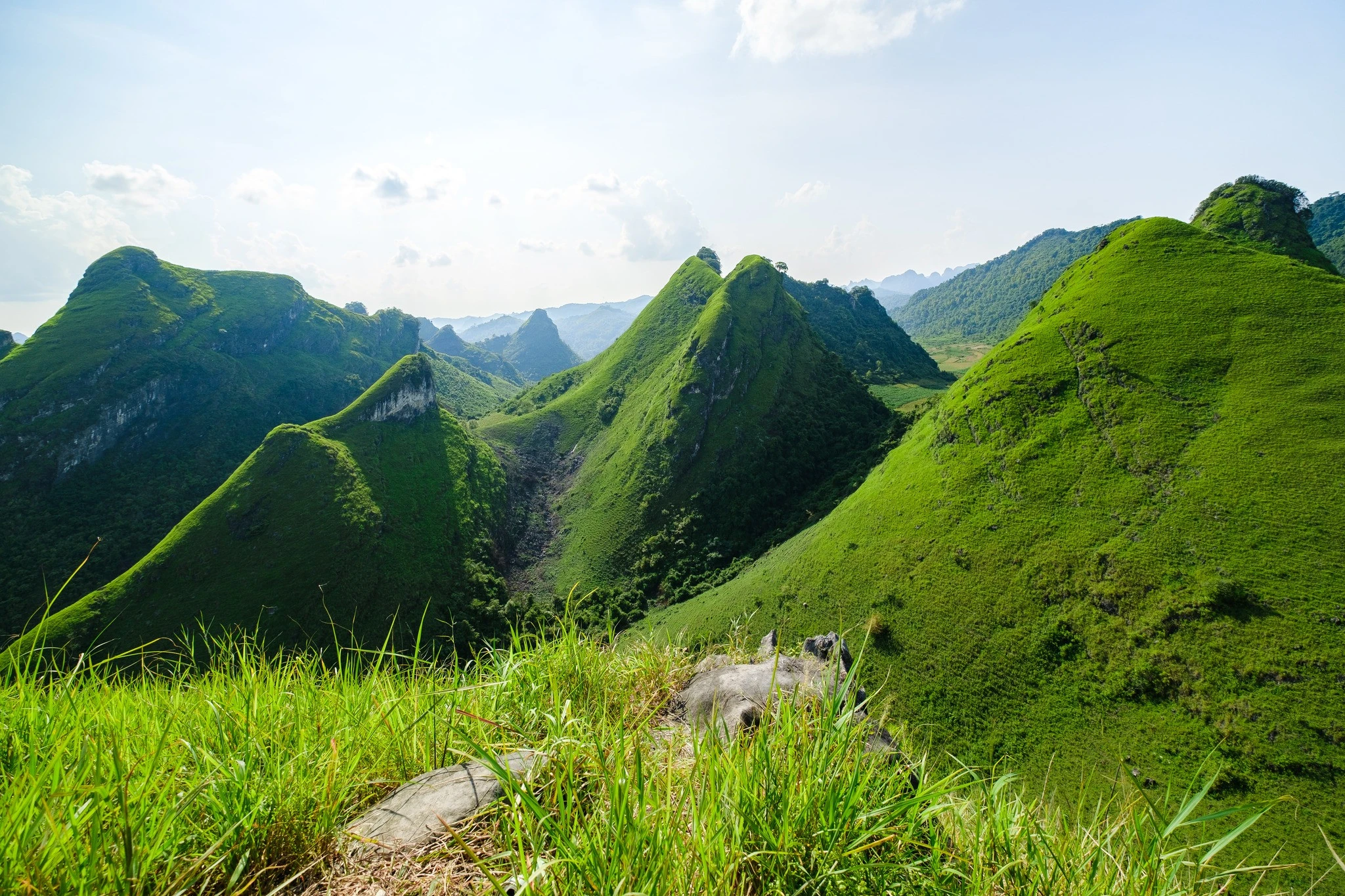 Đồi cỏ Ba Quáng