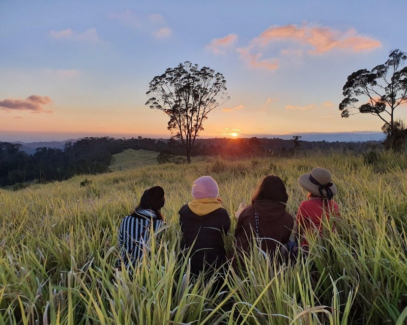 曼格·丹（Mang den Grass）的山山（Mang den Grass）距离曼格（Mang Den）镇中心约10公里，以其绿色美丽而闻名，在雄伟的成千上万伟大的伟大中间。