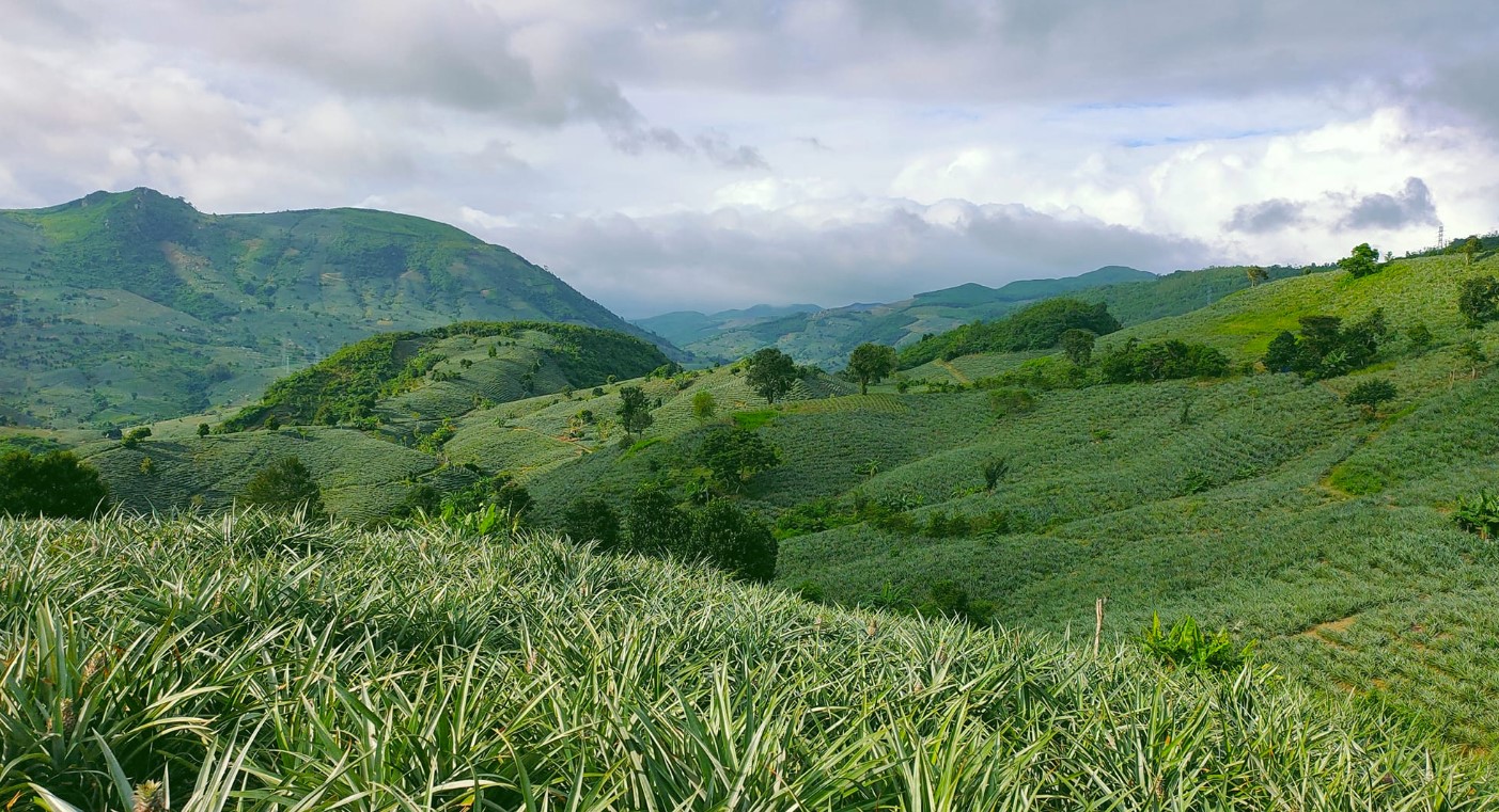 Thung lũng Đồng Din