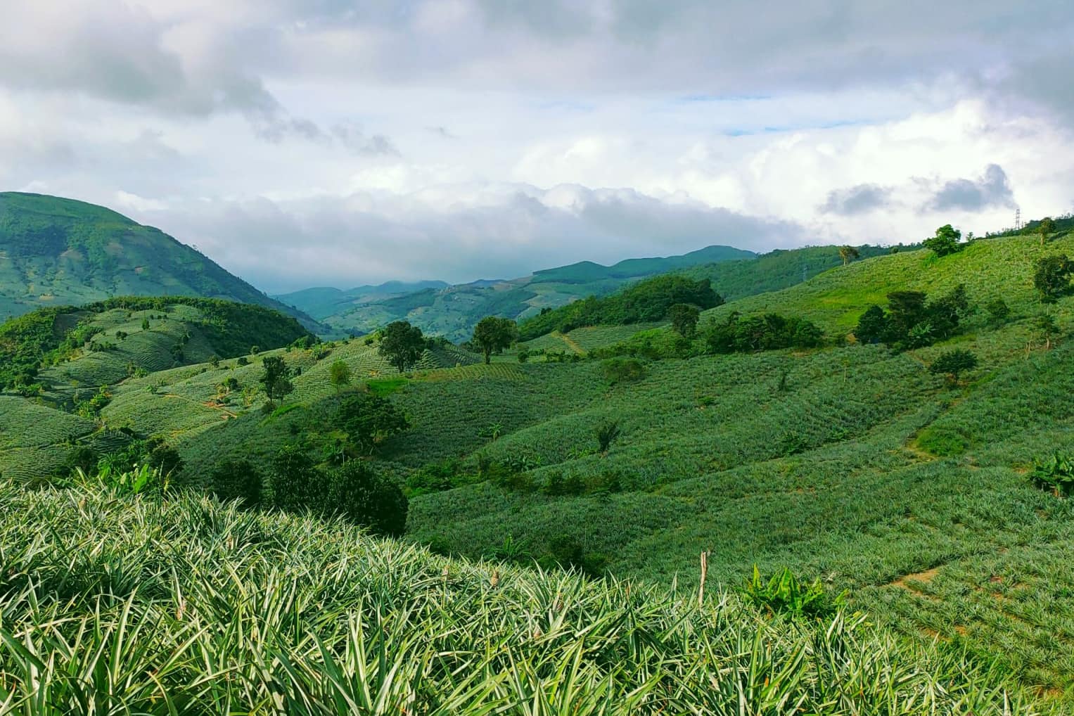 Thung lũng Đồng Din