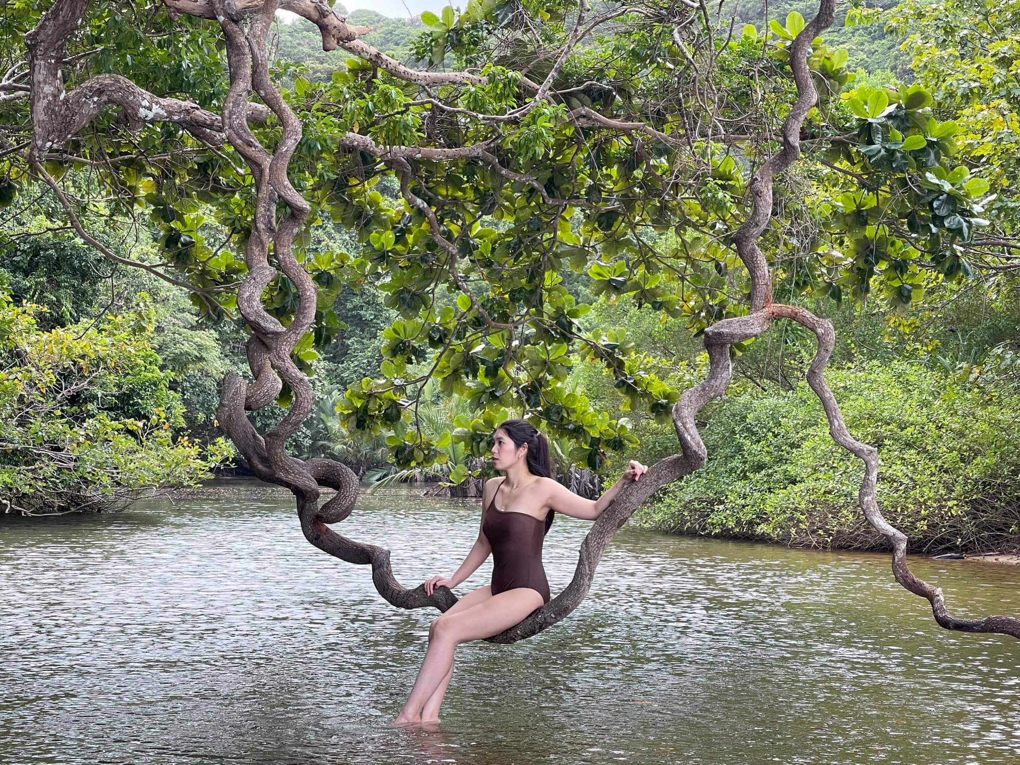 For those who love to explore nature, can experience moving deep inside the stream to see the mangrove ecosystem