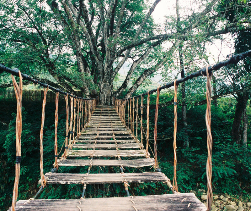 May Van Cloud Bridge