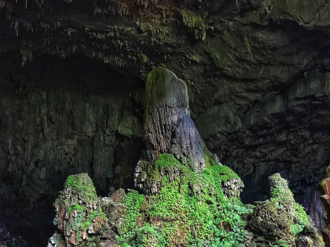 Beautiful mysterious bat cave