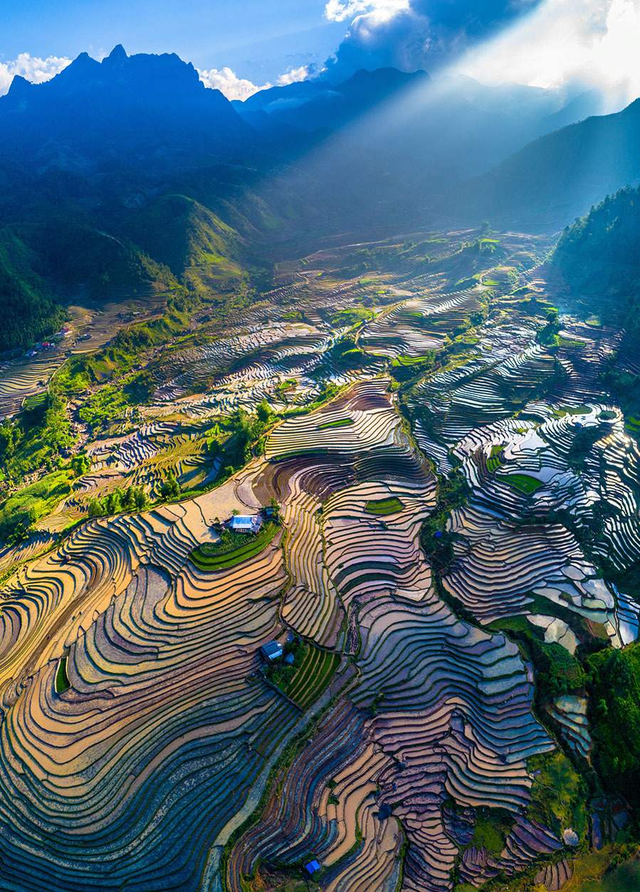 Bạch Mộc Lương Tử