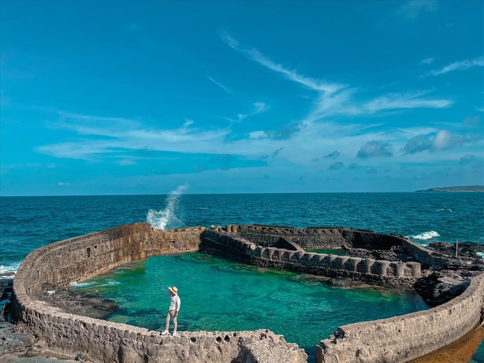 Duong的水族馆