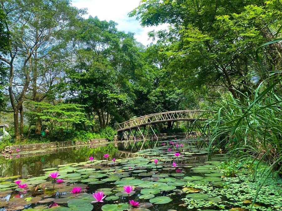 Kim Son Landscape Area