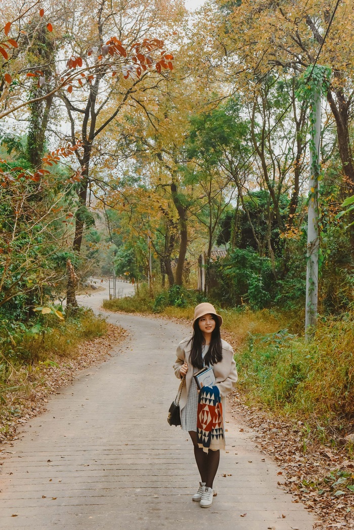 Rừng phong lá đỏ - Chùa Thanh Mai