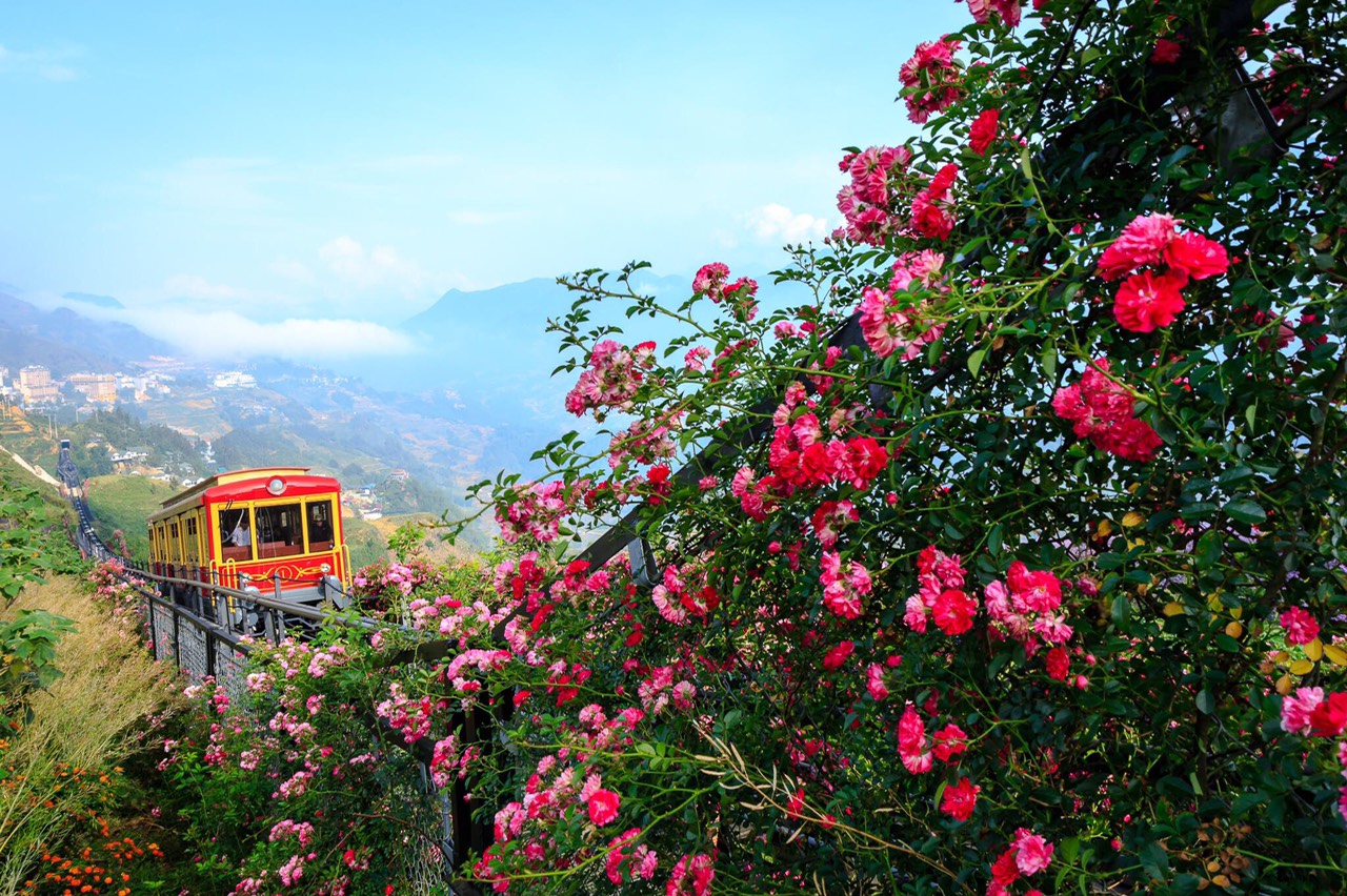 Thung Lũng Hoa Hồng