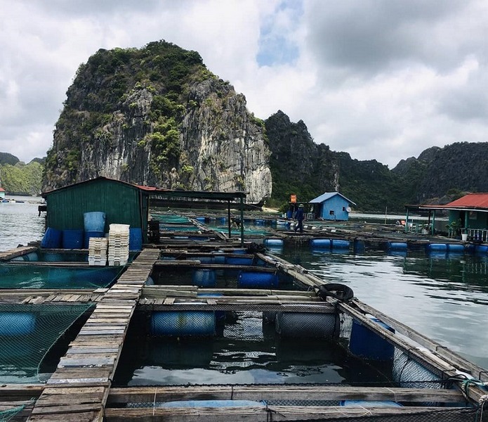 Một góc làng chài Cái Bèo.