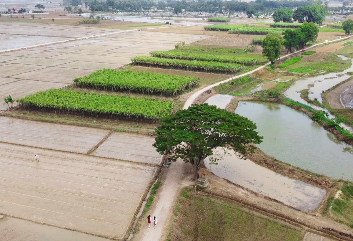 Làng Hà Cảng