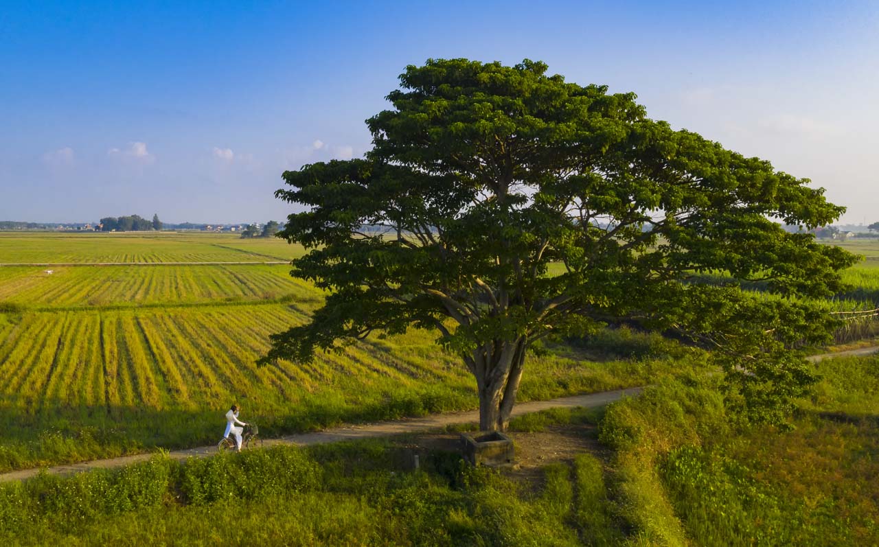 Làng Hà Cảng