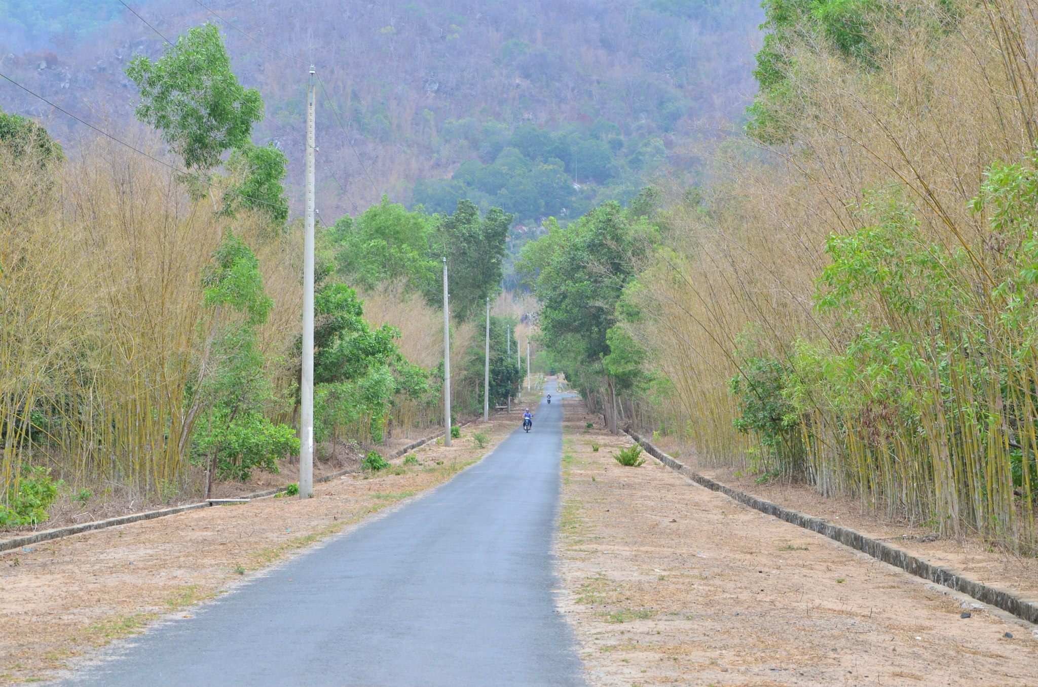 Con đường tầm vong Ô Tà Sóc