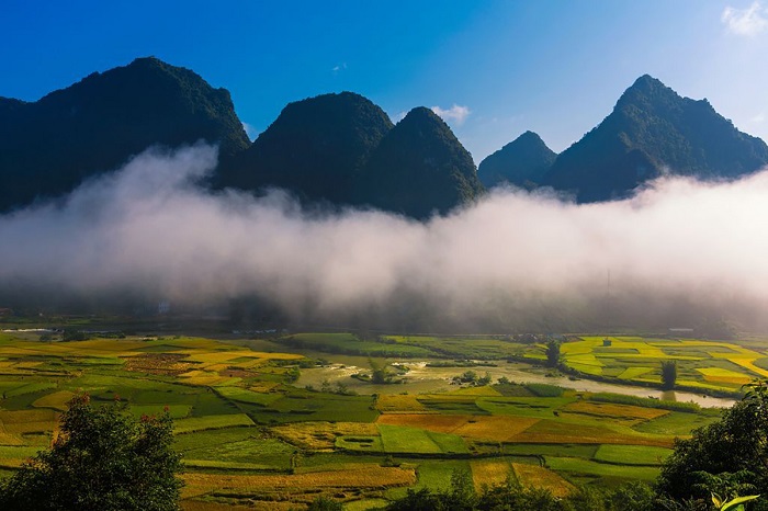 Thung lũng Phong Nậm
