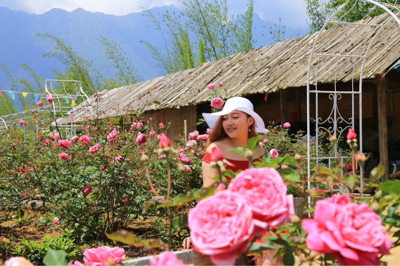 Sắc hồng phấn nhẹ nhàng càng tôn thêm sự xinh đẹp của phái nữ