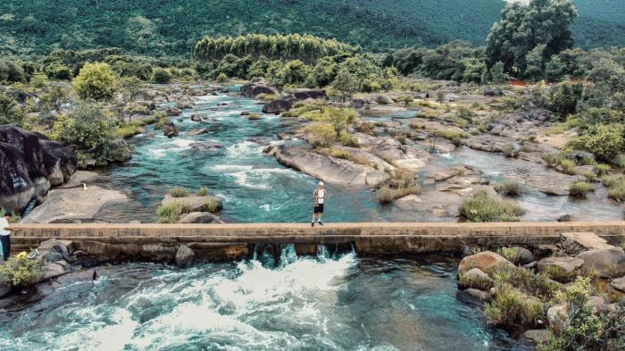 Thanh Nien stream