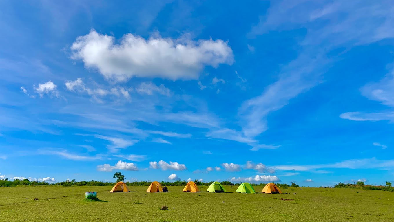 Thảo nguyên Bùi Hui