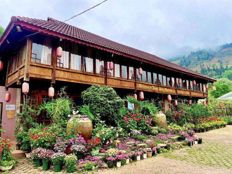 Thung lũng hoa Bắc Hà