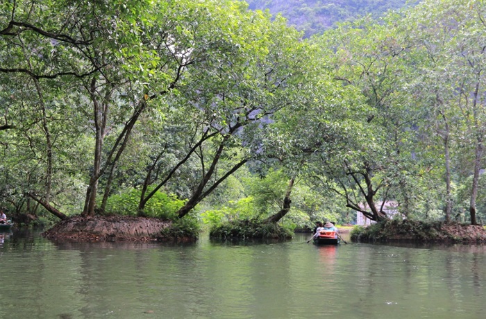 This ancient forest is less known, because it is located in the core area of ​​the world heritage.