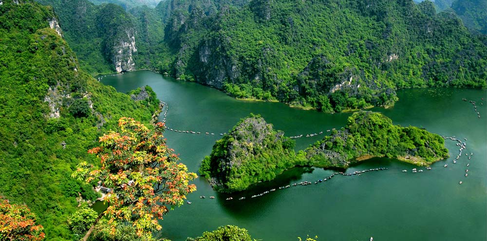 This is a primeval forest that is also preserved intact in the core of the world heritage in Vietnam.