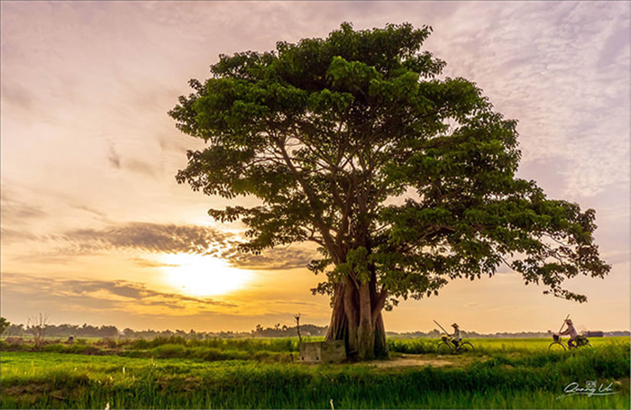 Làng Hà Cảng