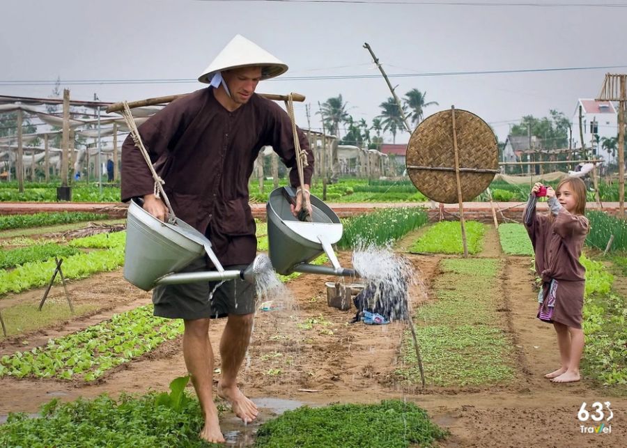 Làng rau Trà Quế - Quảng Nam