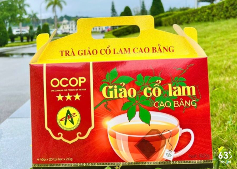 Trà giảo cổ lam Cao Bằng