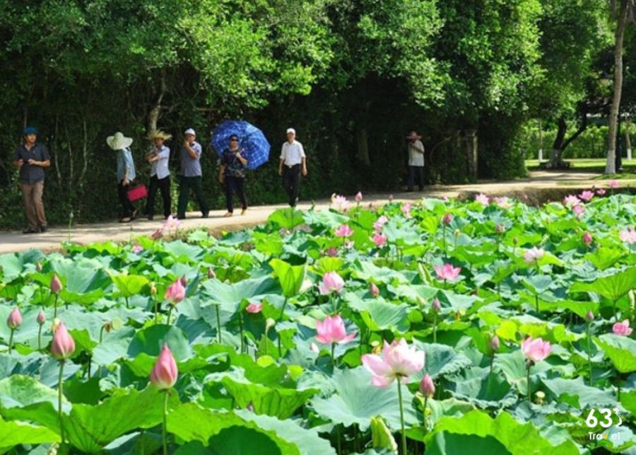 Làng Sen quê Bác - Nghệ An