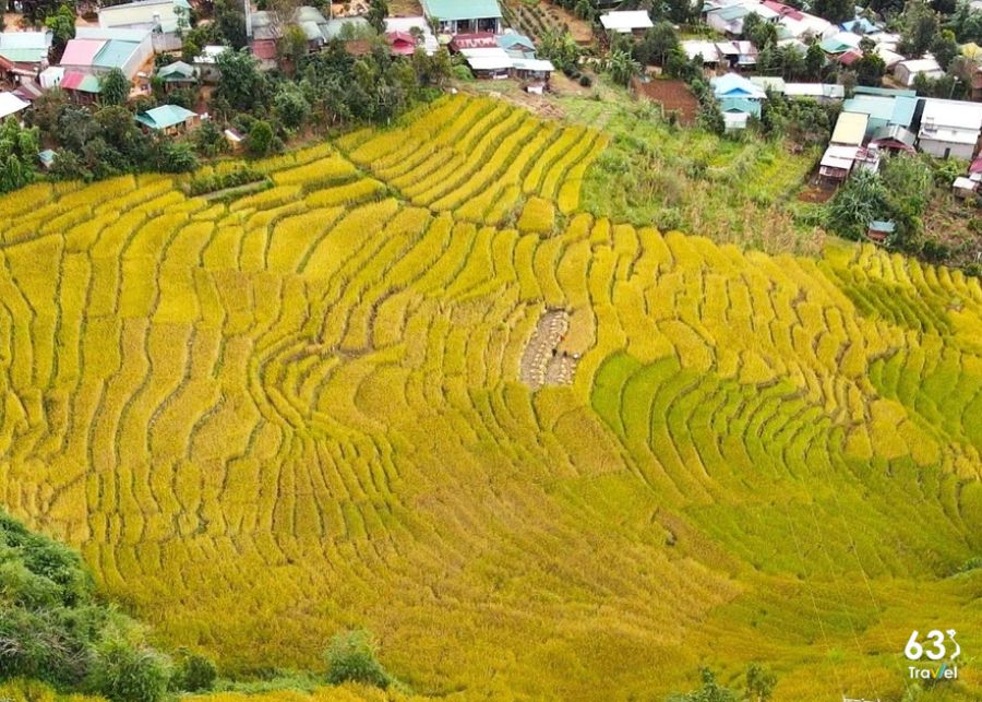 Ruộng bậc thang Măng Ri