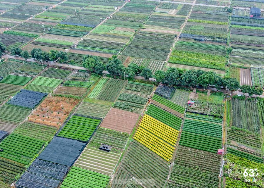 Làng Hoa Mê Linh - Hà Nội